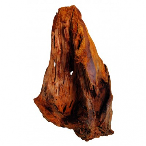 Korzeń Elbasia Driftwood 24-29cm 