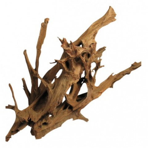 Korzeń Mangrowy 60-90cm 