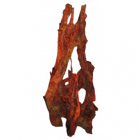 Korzeń Mangrowy 80-110cm 